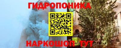 сатива Гатчина