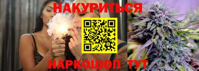 сатива Гатчина