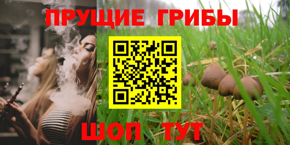 Псилоцибиновые грибы прущие грибы Орёл