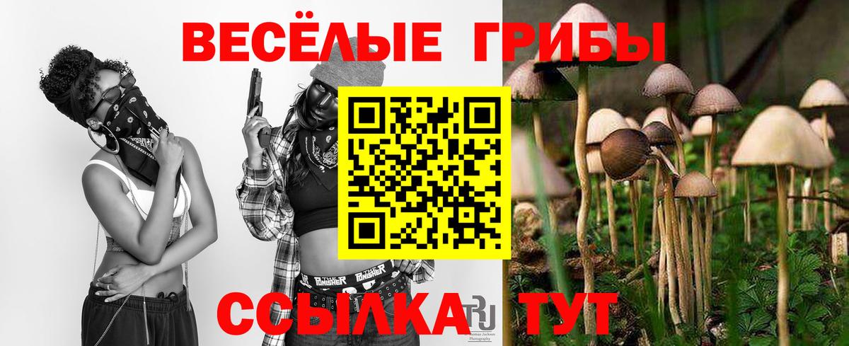 Орёл  Псилоцибиновые грибы Magic Shrooms  Псилоцибиновые грибы мухоморы  Вход с VPN 